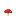 Грибкоин